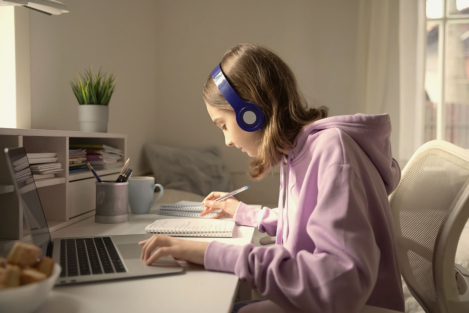 Virtual Schooling and Mental Health: Nurturing Emotional Well-being in Online Education